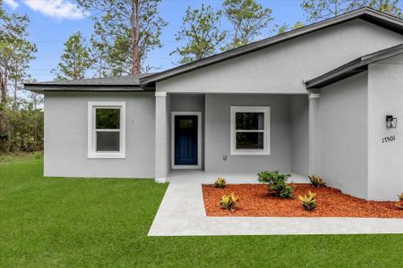 New construction Single-Family house 17501 Sw 41St Cir, Ocala, FL 34473 - image