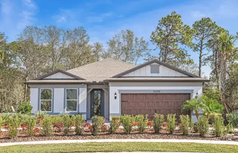 New construction Single-Family house 6635 Blazing Spirit St, Wesley Chapel, FL 33545 plan Medina - image