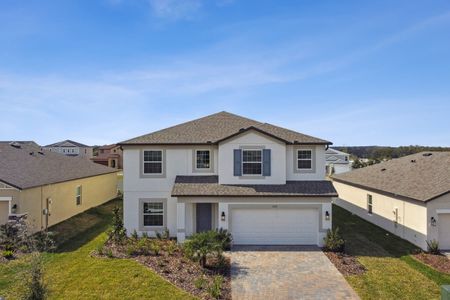 New construction Single-Family house 12219 Hilltop Farms Dr, Dade City, FL 33525 Malibu- photo 265 265