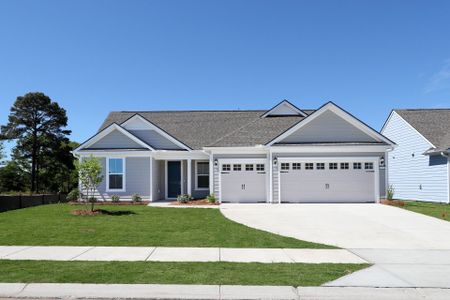 New construction Single-Family house 1501 Crested Iris Way, N, Myrtle Beach, SC 29582 plan Stellar - image