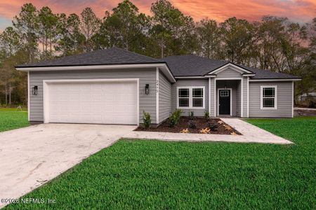 New construction Single-Family house 2467 Violet Wy, Middleburg, FL 32068 - image