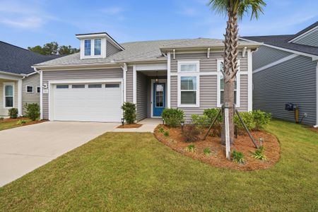New construction Single-Family house 128 Summerwind Dr, Summerville, SC 29486 - image
