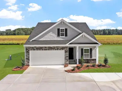 New construction Single-Family house 299 Thomas Trl, Lillington, NC 27546 plan Ford - image
