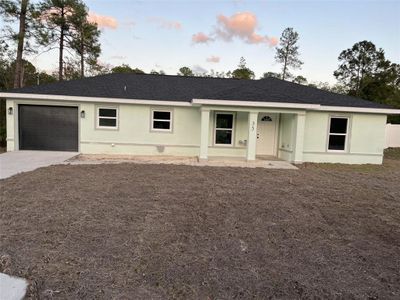 New construction Single-Family house 35 Sequoia Trl, Ocklawaha, FL 32179 - image