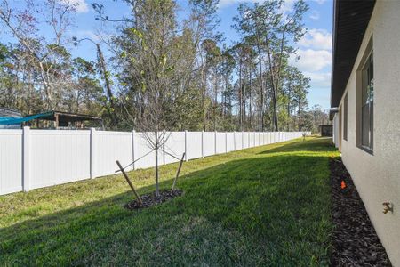 New construction Single-Family house 11512 Weaver Hollow Rd, New Port Richey, FL 34654 null- photo 55 55