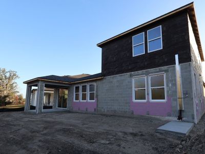 New construction Single-Family house 31227 Hayman Lp, Wesley Chapel, FL 33545 plan Roxbury Bonus - image