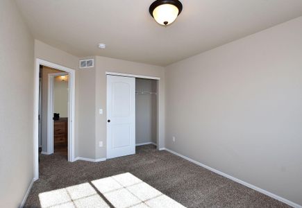 New construction Single-Family house 437 Vivid Ln , Evans, CO 80634 - photo 15 15