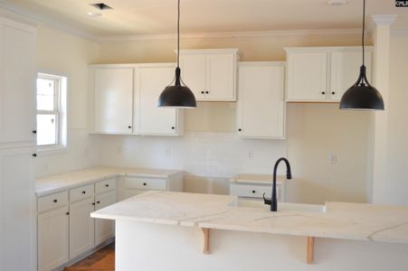 New construction Single-Family house 120 Locomotive (Lot 05) Ln, Irmo, SC 29063 - image