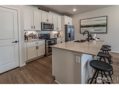 New construction Multi-Family house 1821 Bounty Dr, Unit 7, Windsor, CO 80550 null- photo 6 6