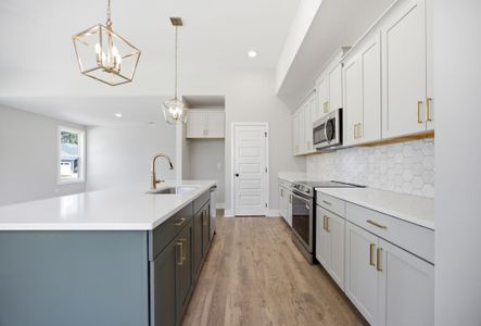 New construction Single-Family house 1026 Fortitude Trail 27, Chattanooga, TN 37421 plan Hampton - image 11