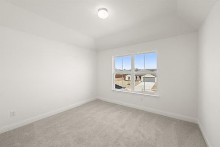 New construction Single-Family house 808 Stone Eagle Dr, Azle, TX 76020 plan Cherry - image 15