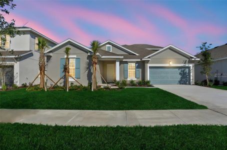 New construction Single-Family house 17477 Valleywood Pkwy, Land O' Lakes, FL 34638 plan Arlington - image