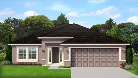 New construction Single-Family house 1150 Heron Point Dr, Inverness, FL 34453 - image