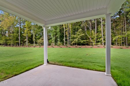 New construction Single-Family house 35 Nebbiolo Dr, Youngsville, NC 27596 Austin- photo 25 25