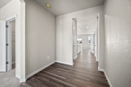 New construction Single-Family house 11472 Lake Trout Dr, Colorado Springs, CO 80925 plan Ash - image 12