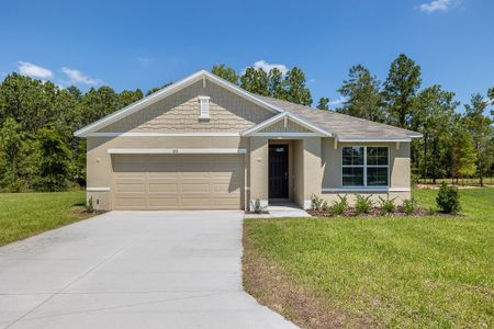 New construction Single-Family house 24 Hickory Crse, Ocala, FL 34472 null- photo 6 6