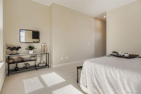 New construction Single-Family house 2011 Grayside Cir, Castle Rock, CO 80109 - image 19