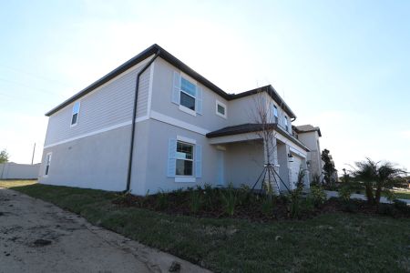 New construction Single-Family house 38350 Tobiano Loop, Dade City, FL 33525 Cabo- photo 141 141