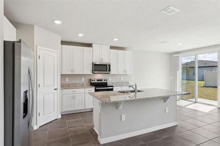 New construction Single-Family house 1709 Forest Run Ln, Auburndale, FL 33823 Hibiscus- photo 6 6