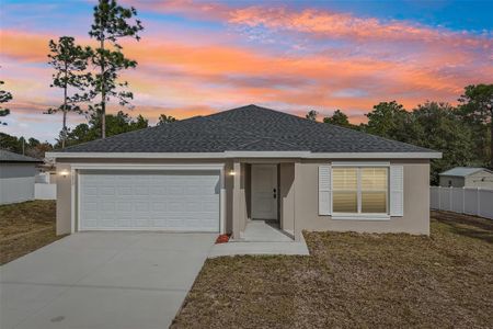New construction Single-Family house 5077 Sw 155Th Lp, Ocala, FL 34473 - image