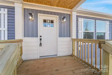 New construction Single-Family house 209 Walnut Branch Rd, Weaverville, NC 28787 - image