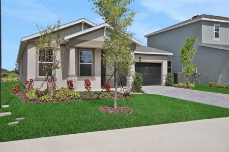 New construction Single-Family house 13512 Turnleaf Blvd, Punta Gorda, FL 33955 plan Ravenna - image