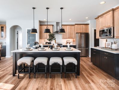 New construction Single-Family house York, SC 29745 - image 13