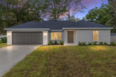 New construction Single-Family house 24151 Sw Beaver Dr, Dunnellon, FL 34431 - image