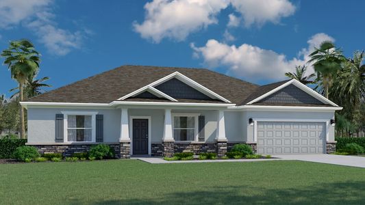Royal Highlands by Holiday Builders in Spring Hill - image 12