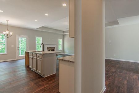 New construction Single-Family house 459 Benson Meadows Dr, Dallas, GA 30157 null- photo 32 32