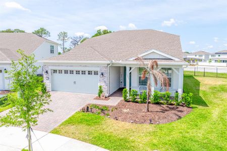 New construction Single-Family house 13780 Fresh Ivy St, Winter Garden, FL 34787 - image