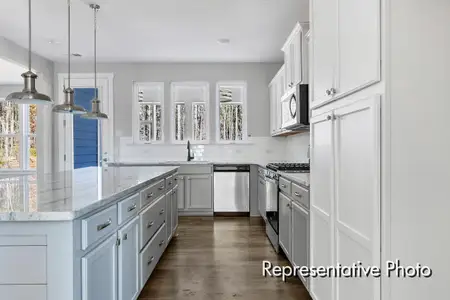 New construction Single-Family house 1023 Marsh Harrier Dr, Unit Cc3-3-5, Ravenel, SC 29470 - image