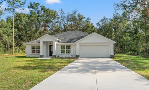 New construction Single-Family house 13366 Canada Goose Road, Weeki Wachee, FL 34614 - photo 0