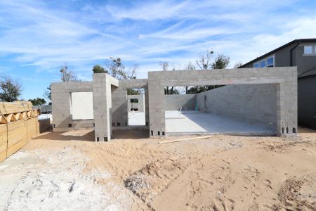 New construction Single-Family house 12134 Hilltop Farms Dr, Dade City, FL 33525 Malibu- photo 10 10