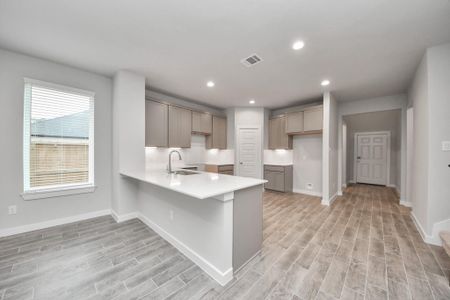 New construction Single-Family house 14831 Diamond Dove Ln, Houston, TX 77049 plan 252 - image 7
