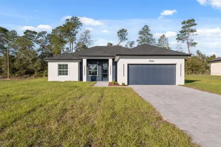 New construction Single-Family house 3350 Sw 129Th Lp, Ocala, FL 34473 - image