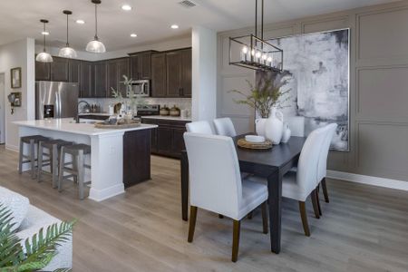 New construction Single-Family house 6736 Spotted Eagle Lp, Howey-in-the-Hills, FL 34737 plan Hayden - image 12