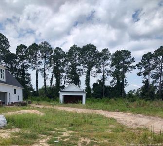 New construction Single-Family house 3007 Dinwiddle Dr, Wade, NC 28395 - image