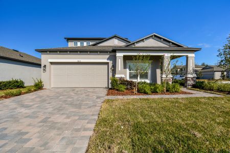 New construction Single-Family house 38471 Barrel Dr, Dade City, FL 33525 Picasso Bonus- photo 80 80