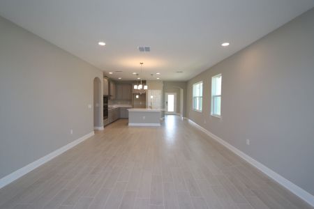 New construction Single-Family house 31229 Denham Ridge Ln, Wesley Chapel, FL 33545 Newport II- photo 114 114