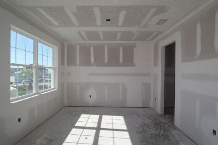 New construction Single-Family house 31223 Denham Ridge Ln, Wesley Chapel, FL 33545 Sonoma II- photo 34 34