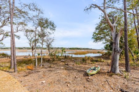 New construction Single-Family house 3554 Clambank Dr, Mount Pleasant, SC 29466 King- photo 61 61