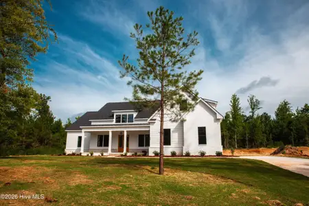 New construction Single-Family house 229 Marsdale Dr, Grovetown, GA 30813 - image