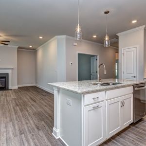 Millbank by Broadstreet Homes in Fort Mill - photo 12 12