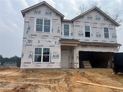 New construction Single-Family house 350 Palomo Pl, Raeford, NC 28376 - image