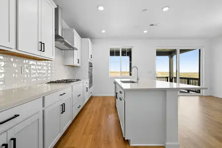 New construction Single-Family house 3639 Recess Ln, Castle Rock, CO 80108 plan Sedalia - image 4