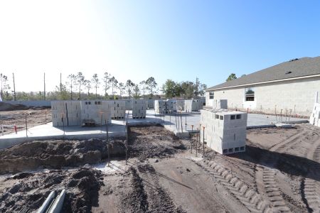 New construction Single-Family house 20027 Oriana Loop, Land O' Lakes, FL 34638 Corina  III- photo 8 8