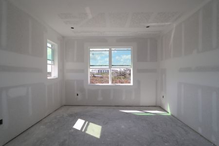 New construction Single-Family house 5691 Maydale Ave, Wesley Chapel, FL 33545 Santa Monica- photo 67 67