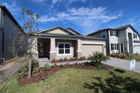 New construction Single-Family house 33227 Amling Pecan Br, Wesley Chapel, FL 33545 Newport II- photo 108 108