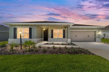New construction Single-Family house 10110 Sw 106Th Cir, Ocala, FL 34481 - image